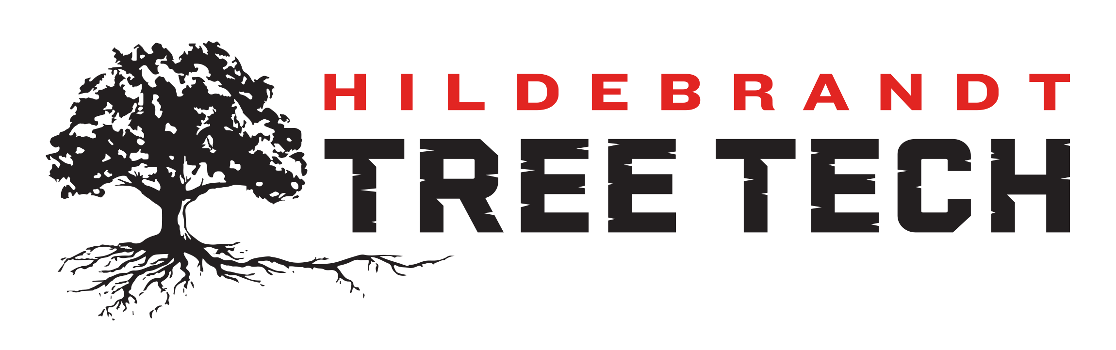 2021 Case Study Hildebrandt Tree Tech